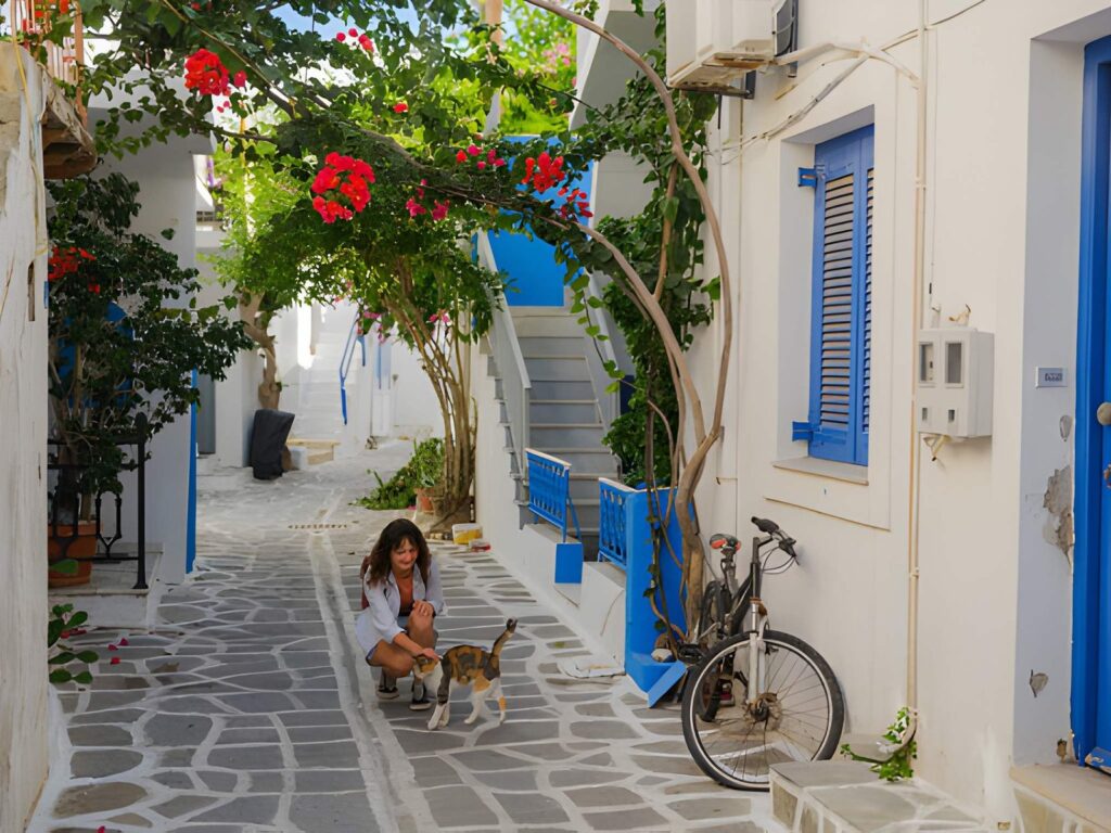 The Mykonos Concierge